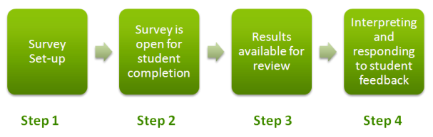 Student Survey Process